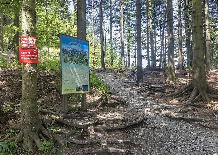 Hiša za goste Gostilna Blegos 3*